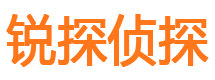 内乡婚外情调查取证